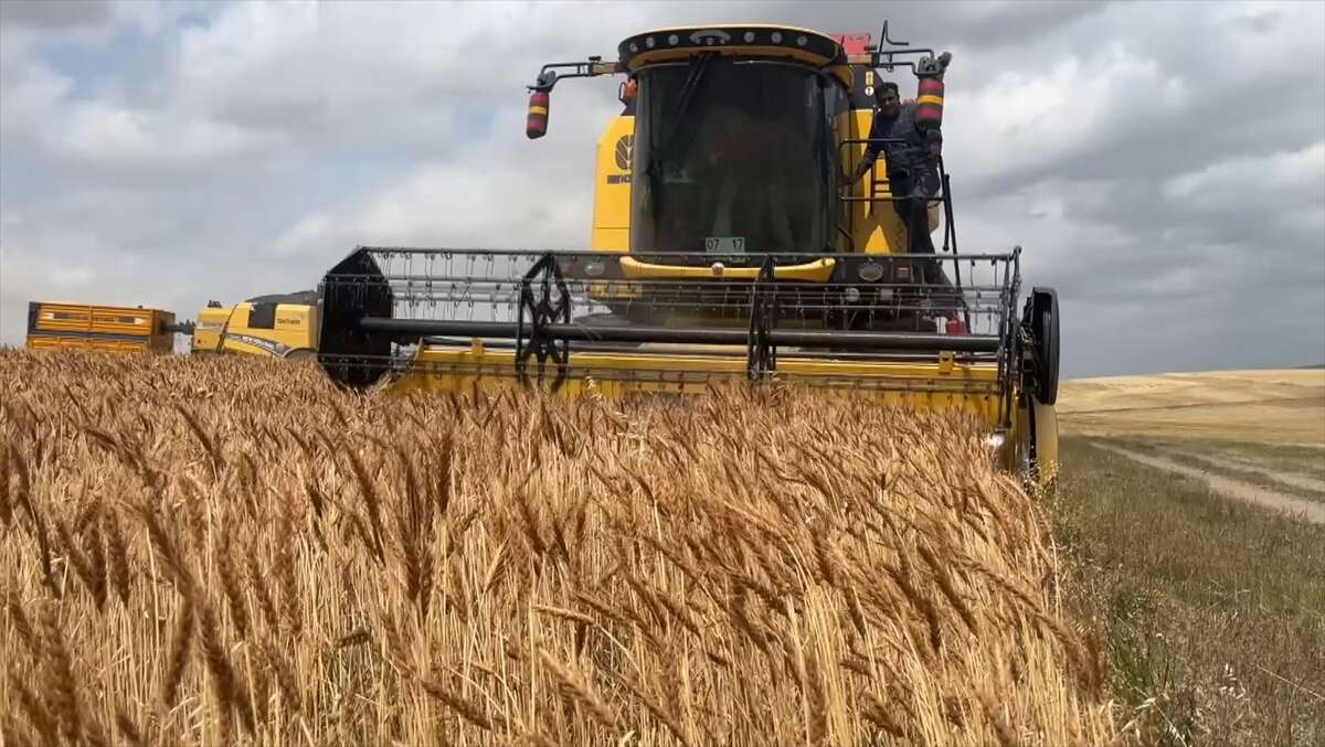 Taner bu yıl çiftçinin cebini dolduracak 10
